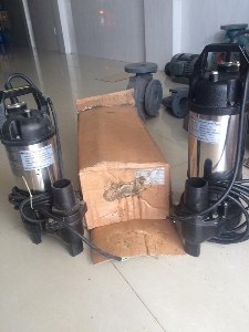 Máy Bơm Nước Thải Sạch Evergush EA-03