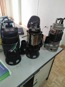 Máy Bơm Nước Thải Sạch Evergush EA-05