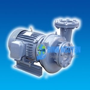 Bơm Ly Tâm Dạng Xoáy Đầu Gang NTP HVP280-13.7 20