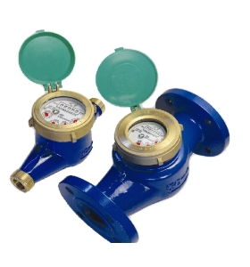 Đồng Hồ Merlion LXS150 DN150