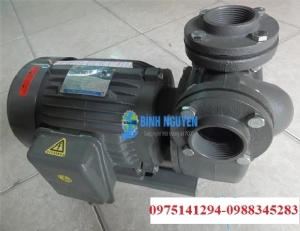 Máy Bơm Tubin NTP HTP225-2.75 26