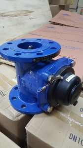 Đồng Hồ Đo Nước Thải Merlion LXXG-DN150