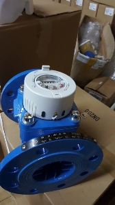 Đồng Hồ Đo Nước Thải Merlion LXXG-DN80